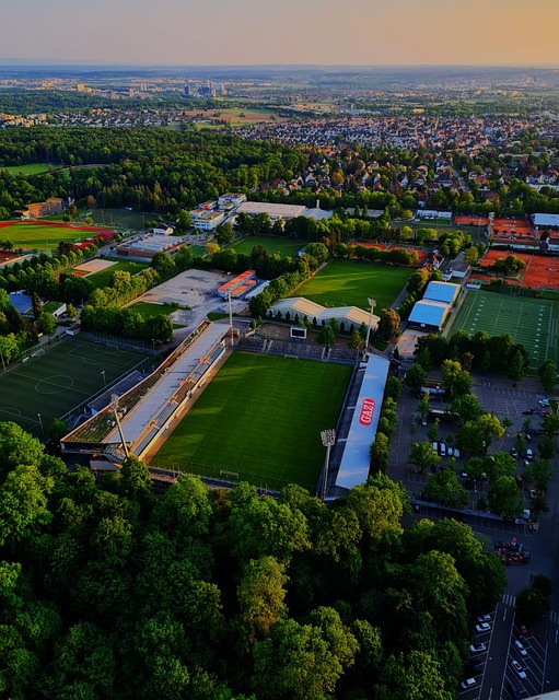 但在观念的 但在观念的