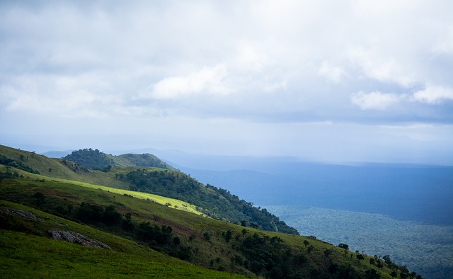 球迷的心中 球迷的心中