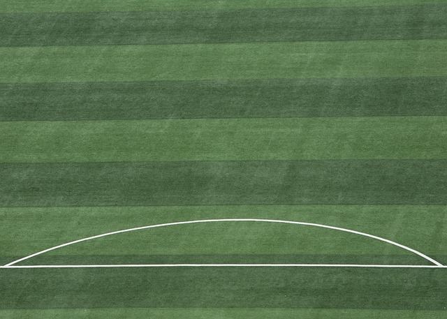 牙足球的卓 牙足球的卓