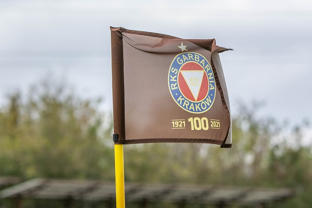 戈贝尔感叹 戈贝尔感叹