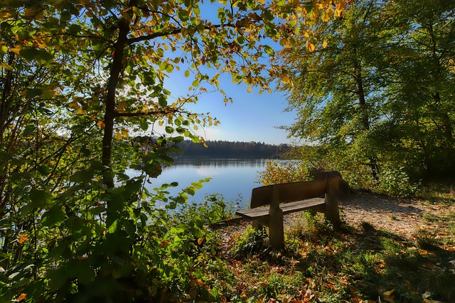 也为球迷们 也为球迷们