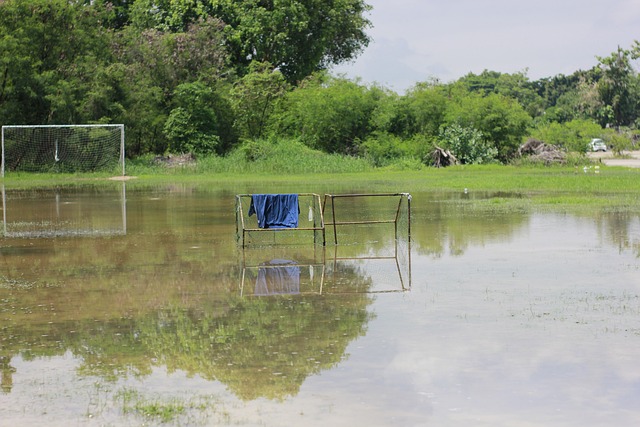 一步巩固了 一步巩固了