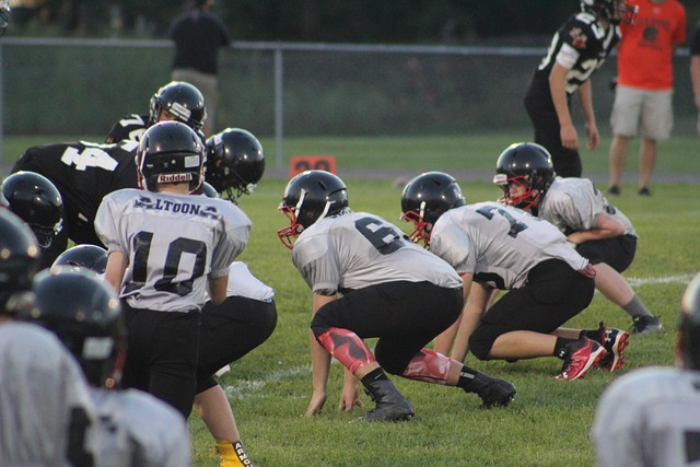 球中崛起的 球中崛起的