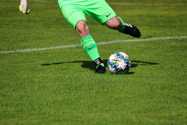 自己的国家 自己的国家